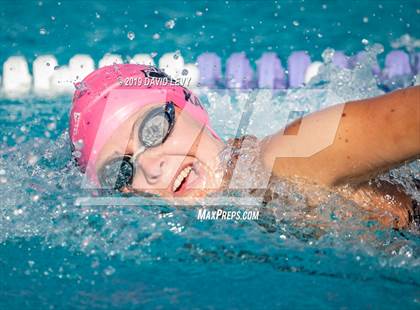 Thumbnail 1 in Basha @ Hamilton photogallery.
