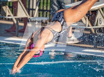 Thumbnail 1 in Basha @ Hamilton photogallery.