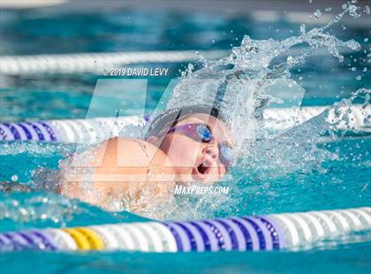 Thumbnail 1 in Basha @ Hamilton photogallery.