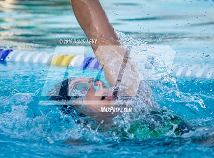 Thumbnail 3 in Basha @ Hamilton photogallery.