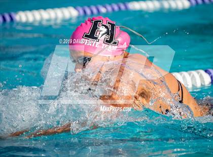 Thumbnail 2 in Basha @ Hamilton photogallery.