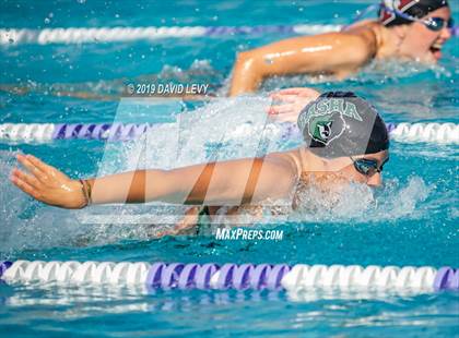 Thumbnail 3 in Basha @ Hamilton photogallery.