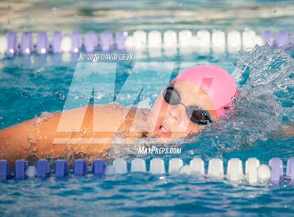 Thumbnail 1 in Basha @ Hamilton photogallery.