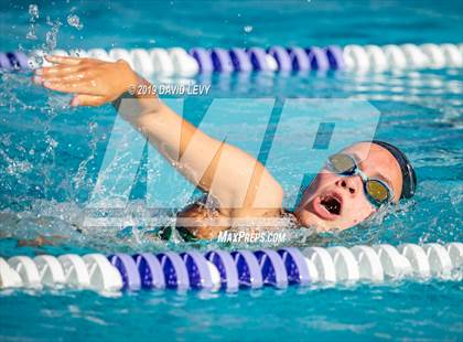 Thumbnail 2 in Basha @ Hamilton photogallery.