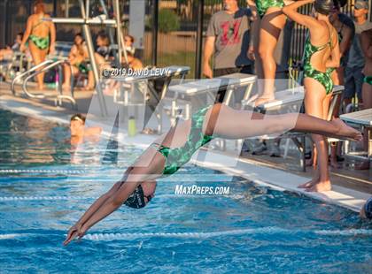 Thumbnail 3 in Basha @ Hamilton photogallery.