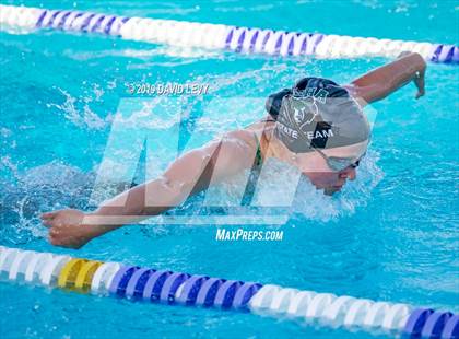 Thumbnail 3 in Basha @ Hamilton photogallery.