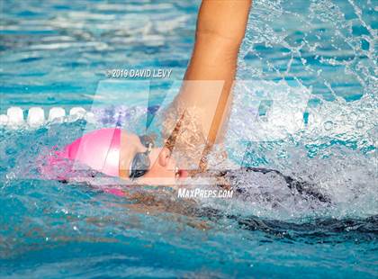 Thumbnail 1 in Basha @ Hamilton photogallery.