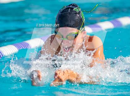 Thumbnail 2 in Basha @ Hamilton photogallery.