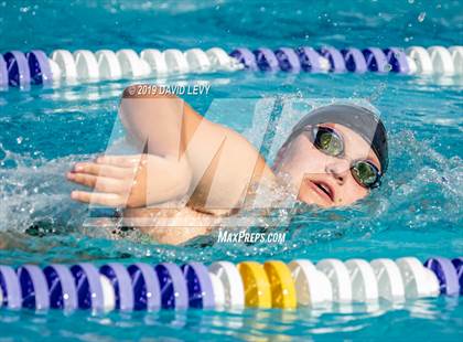 Thumbnail 3 in Basha @ Hamilton photogallery.