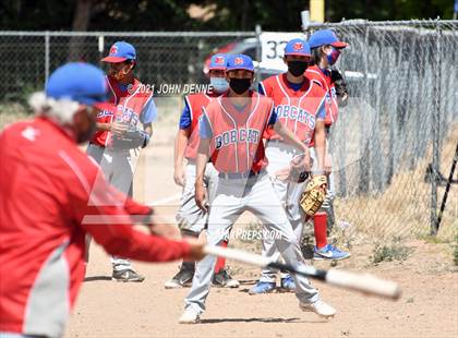 Thumbnail 2 in Pecos @ McCurdy photogallery.