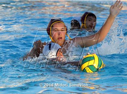 Thumbnail 3 in San Marcos vs. Torrey Pines (2014 Poway Invitational) photogallery.
