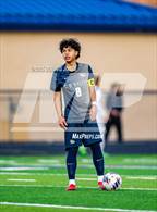 Photo from the gallery "Gar-Field @ Hylton"