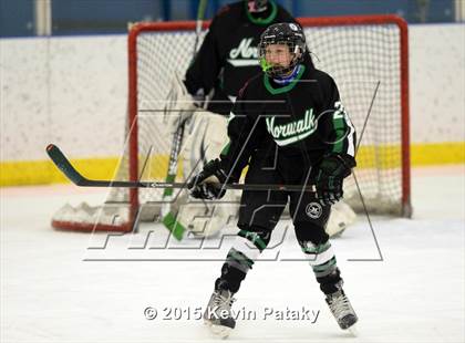 Thumbnail 3 in Norwalk/McMahon @ Housatonic/Northwestern/Wamogo photogallery.