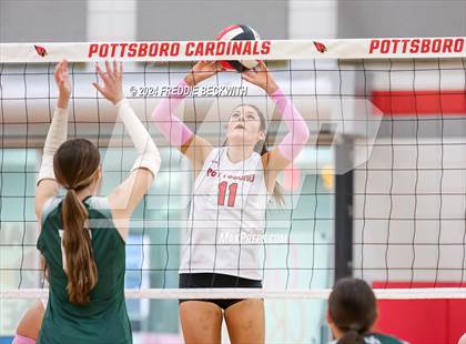Thumbnail 3 in Blue Ridge @ Pottsboro photogallery.