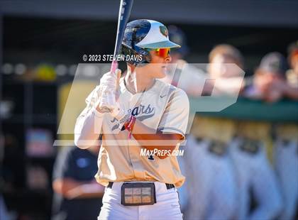 Thumbnail 2 in Sunnyslope @ Basha photogallery.