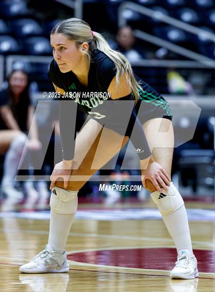 Thumbnail 3 in Austin High vs. Southlake Carrol (UIL 6A D2 Volleyball Final) photogallery.
