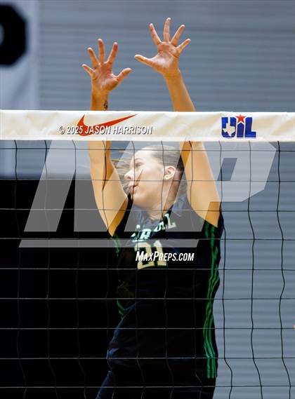 Thumbnail 2 in Austin High vs. Southlake Carrol (UIL 6A D2 Volleyball Final) photogallery.