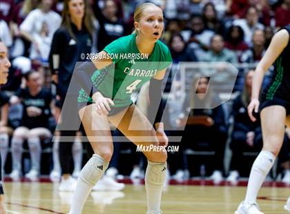 Thumbnail 2 in Austin High vs. Southlake Carrol (UIL 6A D2 Volleyball Final) photogallery.