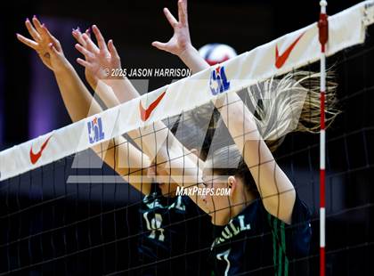 Thumbnail 2 in Austin High vs. Southlake Carrol (UIL 6A D2 Volleyball Final) photogallery.