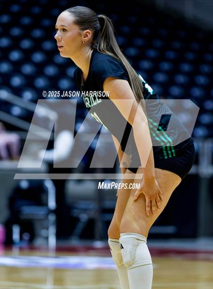 Thumbnail 3 in Austin High vs. Southlake Carrol (UIL 6A D2 Volleyball Final) photogallery.