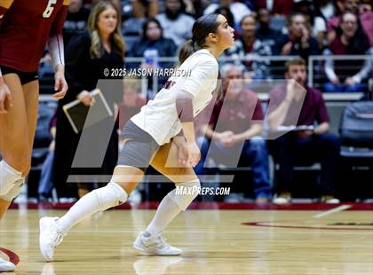 Thumbnail 2 in Austin High vs. Southlake Carrol (UIL 6A D2 Volleyball Final) photogallery.