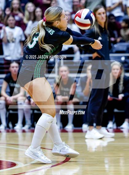 Thumbnail 3 in Austin High vs. Southlake Carrol (UIL 6A D2 Volleyball Final) photogallery.
