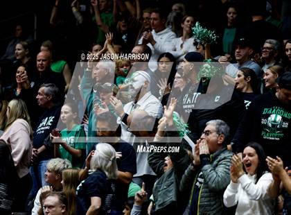 Thumbnail 2 in Austin High vs. Southlake Carrol (UIL 6A D2 Volleyball Final) photogallery.