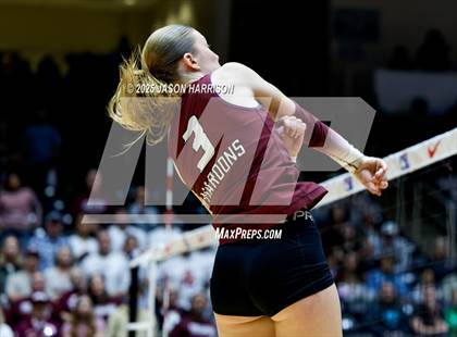 Thumbnail 1 in Austin High vs. Southlake Carrol (UIL 6A D2 Volleyball Final) photogallery.