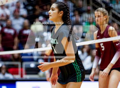 Thumbnail 1 in Austin High vs. Southlake Carrol (UIL 6A D2 Volleyball Final) photogallery.