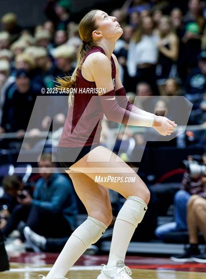 Thumbnail 3 in Austin High vs. Southlake Carrol (UIL 6A D2 Volleyball Final) photogallery.