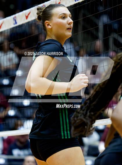 Thumbnail 2 in Austin High vs. Southlake Carrol (UIL 6A D2 Volleyball Final) photogallery.