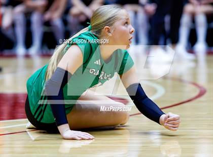 Thumbnail 3 in Austin High vs. Southlake Carrol (UIL 6A D2 Volleyball Final) photogallery.