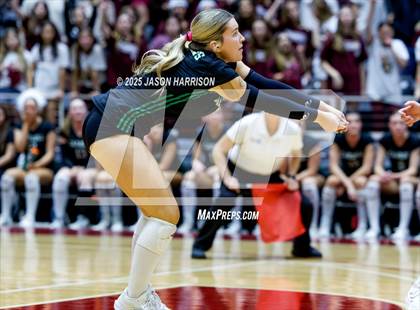 Thumbnail 1 in Austin High vs. Southlake Carrol (UIL 6A D2 Volleyball Final) photogallery.