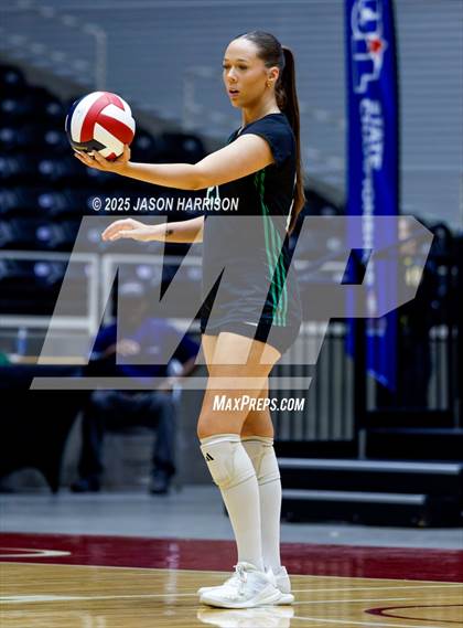 Thumbnail 1 in Austin High vs. Southlake Carrol (UIL 6A D2 Volleyball Final) photogallery.