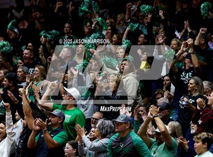 Thumbnail 3 in Austin High vs. Southlake Carrol (UIL 6A D2 Volleyball Final) photogallery.