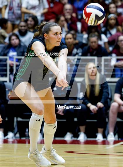 Thumbnail 1 in Austin High vs. Southlake Carrol (UIL 6A D2 Volleyball Final) photogallery.
