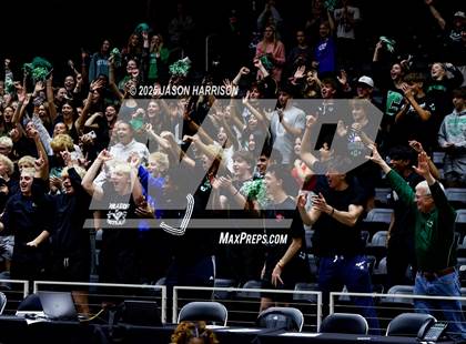 Thumbnail 1 in Austin High vs. Southlake Carrol (UIL 6A D2 Volleyball Final) photogallery.
