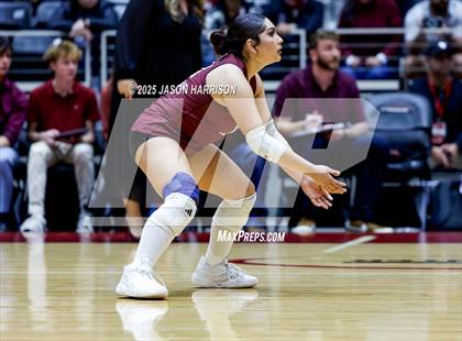Thumbnail 2 in Austin High vs. Southlake Carrol (UIL 6A D2 Volleyball Final) photogallery.