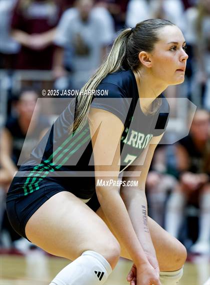 Thumbnail 2 in Austin High vs. Southlake Carrol (UIL 6A D2 Volleyball Final) photogallery.