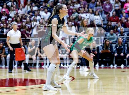Thumbnail 1 in Austin High vs. Southlake Carrol (UIL 6A D2 Volleyball Final) photogallery.