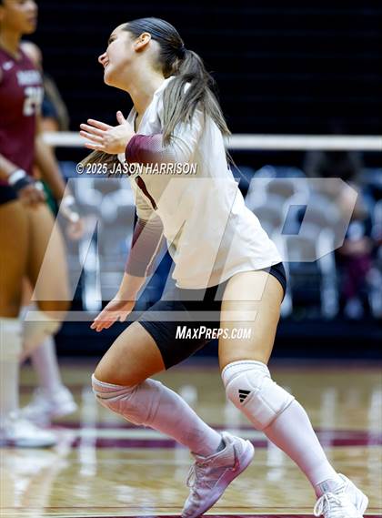 Thumbnail 1 in Austin High vs. Southlake Carrol (UIL 6A D2 Volleyball Final) photogallery.
