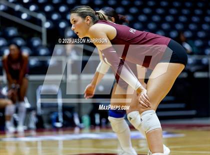 Thumbnail 2 in Austin High vs. Southlake Carrol (UIL 6A D2 Volleyball Final) photogallery.