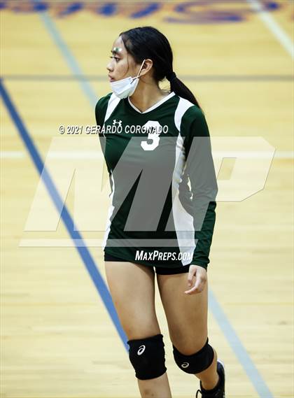 Thumbnail 3 in Manteca photogallery.