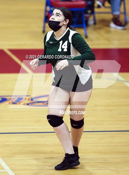 Thumbnail 2 in Manteca photogallery.