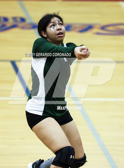Thumbnail 1 in Manteca photogallery.