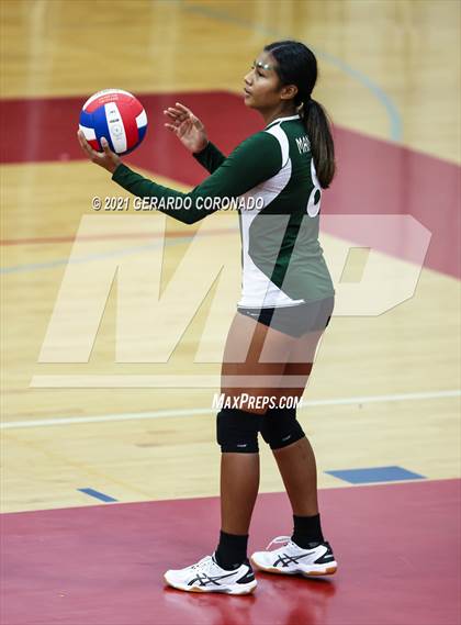 Thumbnail 2 in Manteca photogallery.