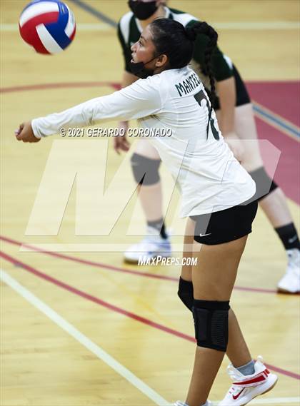 Thumbnail 1 in Manteca photogallery.