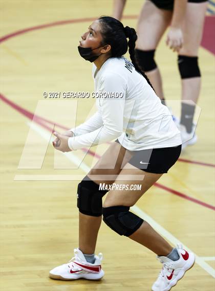 Thumbnail 3 in Manteca photogallery.