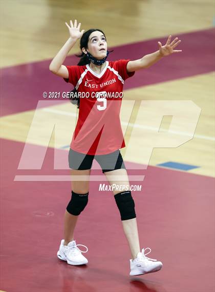 Thumbnail 3 in Manteca photogallery.