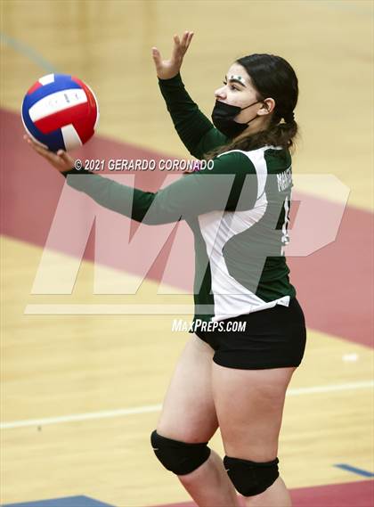 Thumbnail 3 in Manteca photogallery.